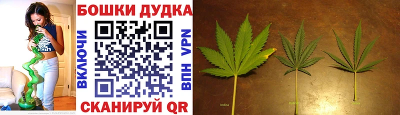 Бошки марихуана тримм  это телеграм  Новоузенск 